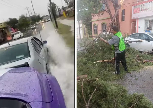 Clima en Saltillo; lluvias y vientos causan afectaciones en diferentes puntos de la ciudad
