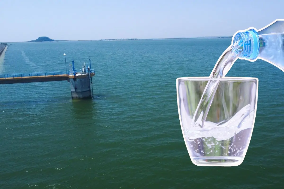 ¿Cuáles son los niveles de las presas de Nuevo León hoy? Entérate aquí. Foto: Agua y Drenaje de Monterrey / CANVA