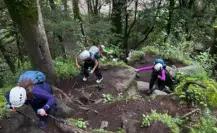 Conoce la ruta oculta de senderismo que te llevará a ver encantadores paisajes en el Edomex