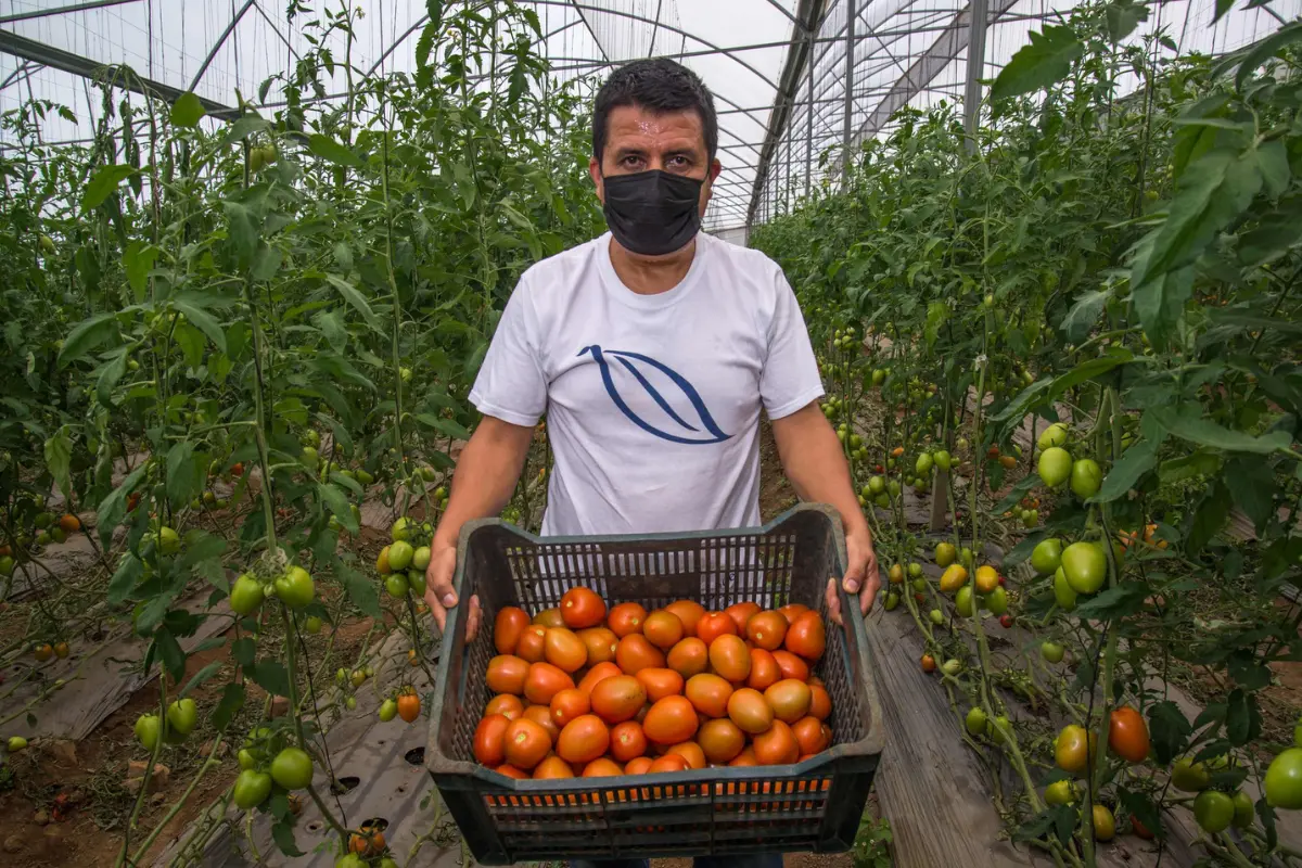 Créditos: X (@Agricultura_mex).