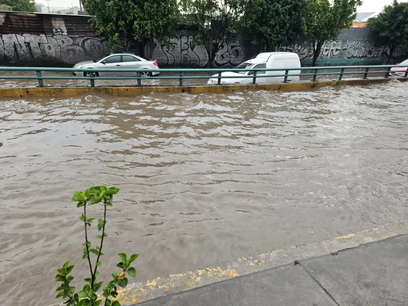 Foto: Juan Manuel López