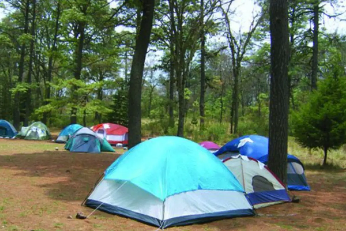 Espacios naturales para acampar. Foto: X (@AmbienteEdomex)