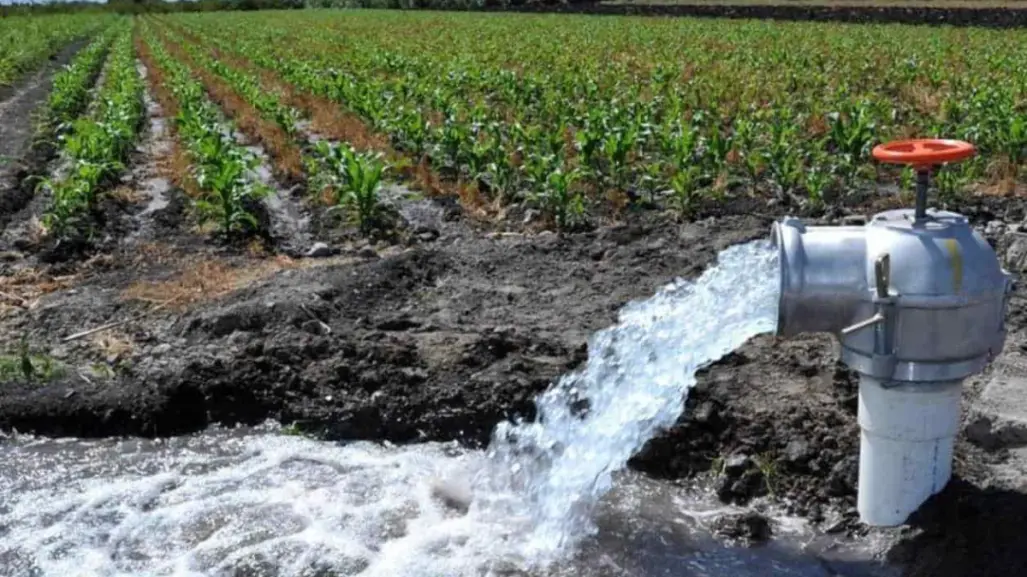 Distrito de Riego 025 en Tamaulipas podría quedarse sin agua para el 2026