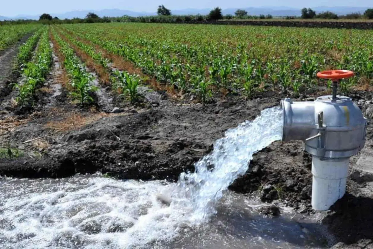 Con un déficit de 40 millones de metros cúbicos y niveles bajos en las presas internacionales Amistad y Falcón, el panorama para el campo es incierto. Foto: CONAGUA