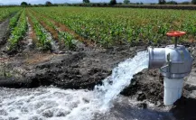 Distrito de Riego 025 en Tamaulipas podría quedarse sin agua para el 2026