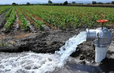 Distrito de Riego 025 en Tamaulipas podría quedarse sin agua para el 2026