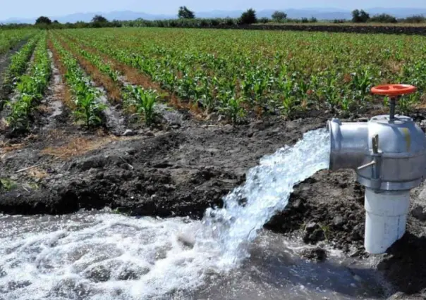 Distrito de Riego 025 en Tamaulipas podría quedarse sin agua para el 2026