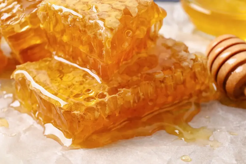 Las abejas producen miel en un entorno libre de químicos. Foto: Biblioteca Canva