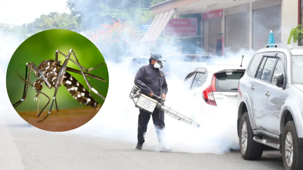 Dengue en Edomex: despliegan jornadas preventivas en 15 municipios para evitar brotes