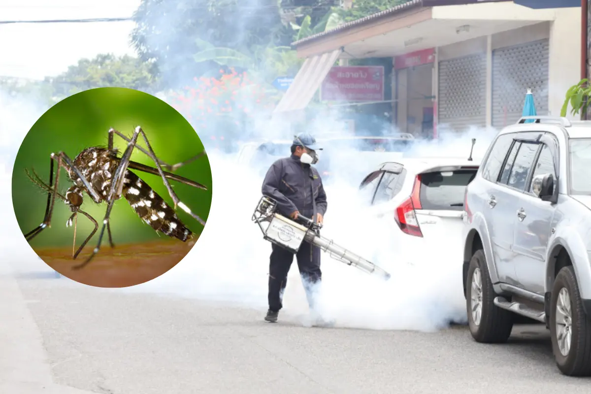 Fumigación del mosquito del dengue. Foto: X (@KhaosodEnglish)