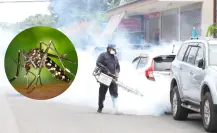 Dengue en Edomex: despliegan jornadas preventivas en 15 municipios para evitar brotes