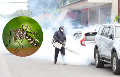 Dengue en Edomex: despliegan jornadas preventivas en 15 municipios para evitar brotes