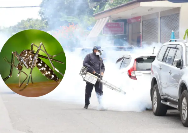 Dengue en Edomex: despliegan jornadas preventivas en 15 municipios para evitar brotes