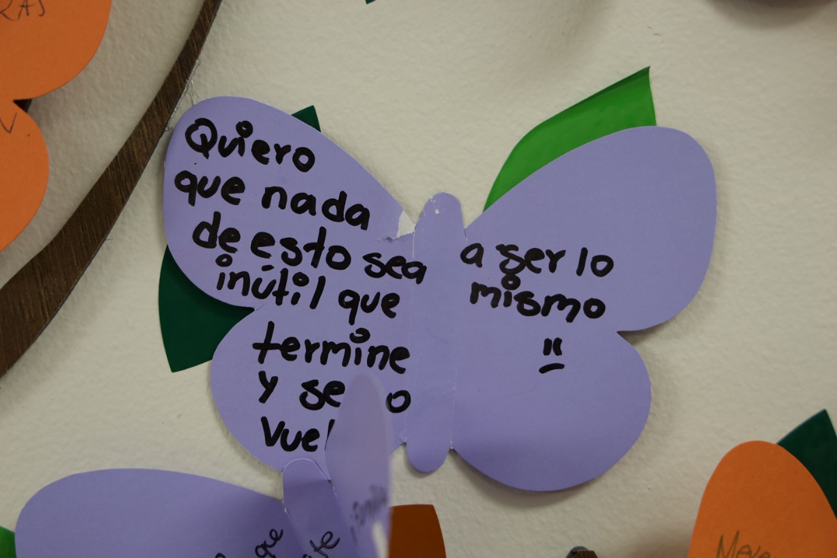 imagen-cuerpo imagen-cuerpo