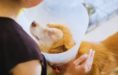 Detienen a menores de edad en García por presuntas acusaciones de maltrato animal