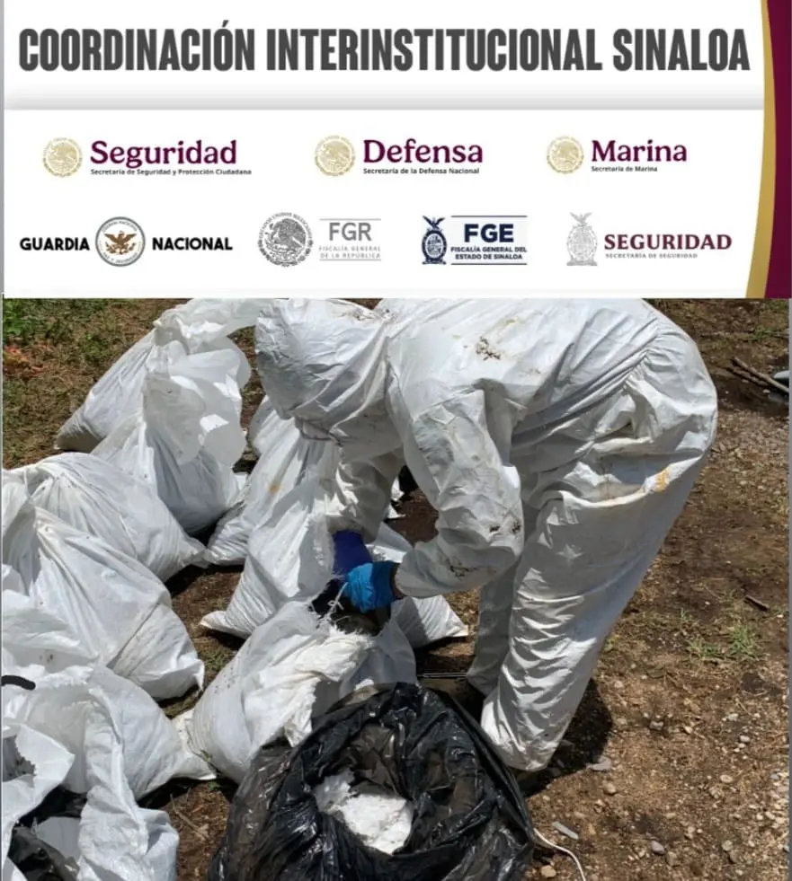 Foto: SSP Sinaloa