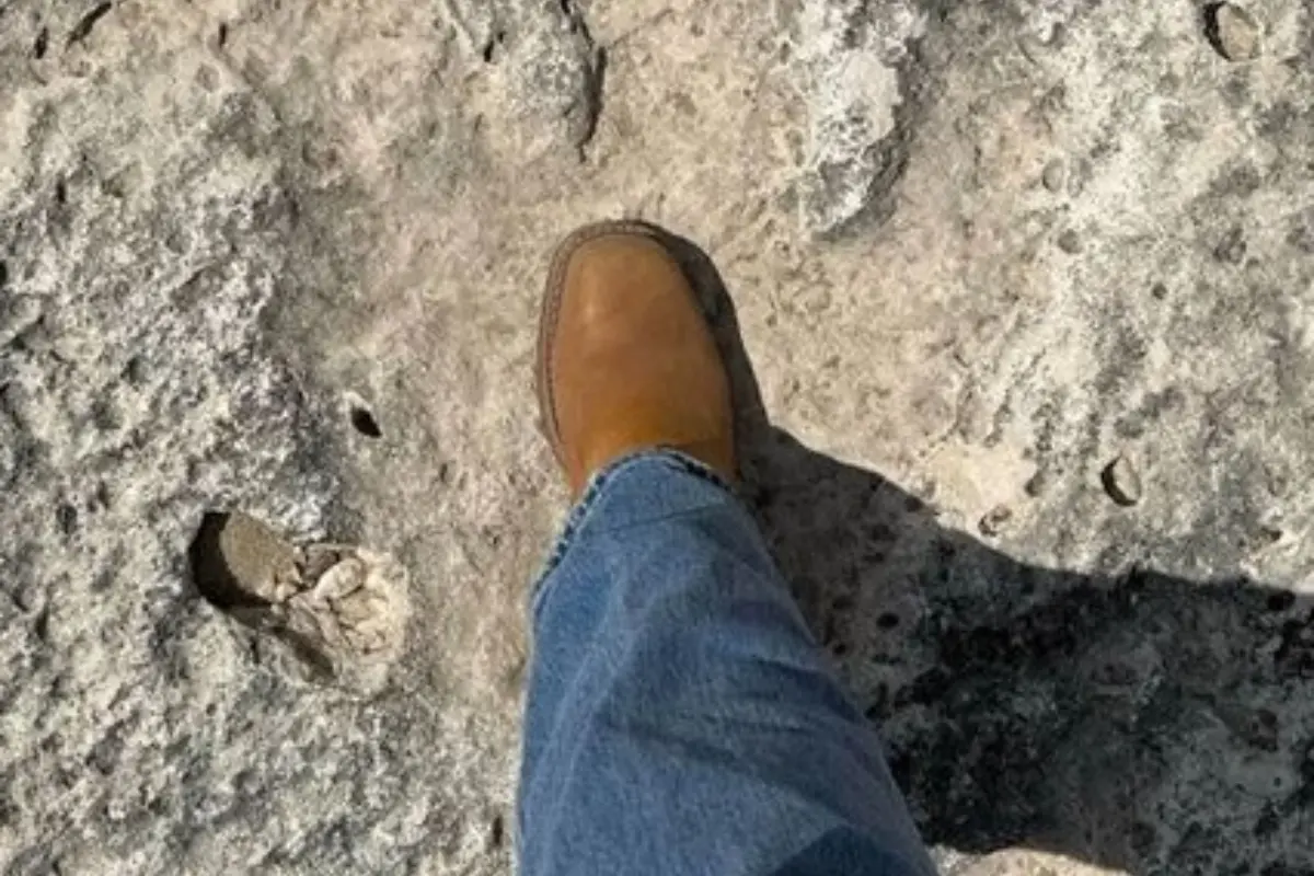 Huellas de dinosaurio en Texas Foto: X(Twitter) @SchumanKimm