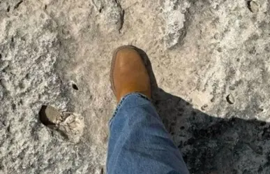 Inundaciones en Texas revelan huellas de millones de años de un animal extinto