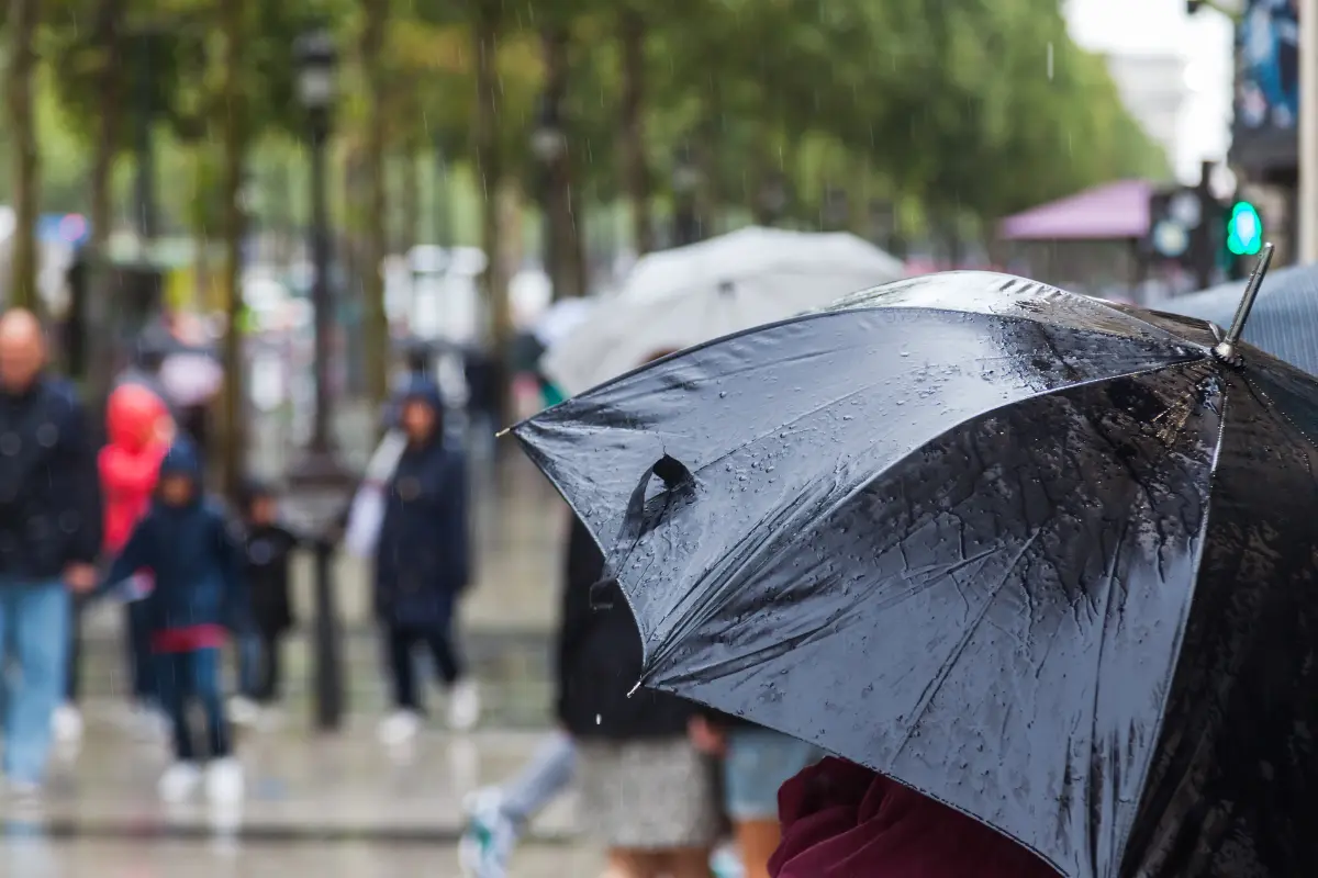 Se registra lluvia en varias partes de la CDMX. Foto: Canva
