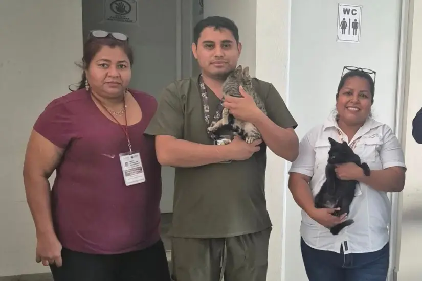 Personal de la Dirección de Ecología de Tampico es la responsable de atender casos de maltrato animal en el municipio. Foto: Axel Hassel
