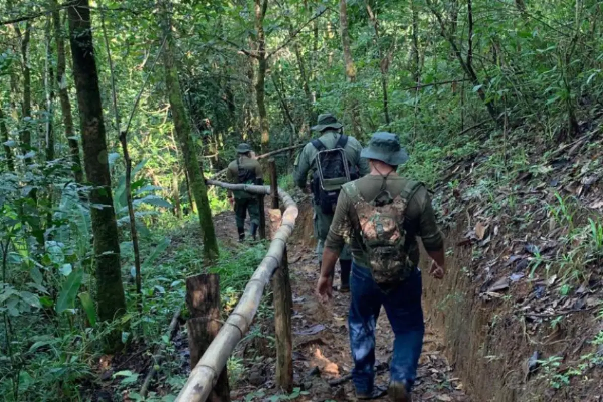 Senderismo en la naturaleza.  Foto: X (@MiAmbientePma)