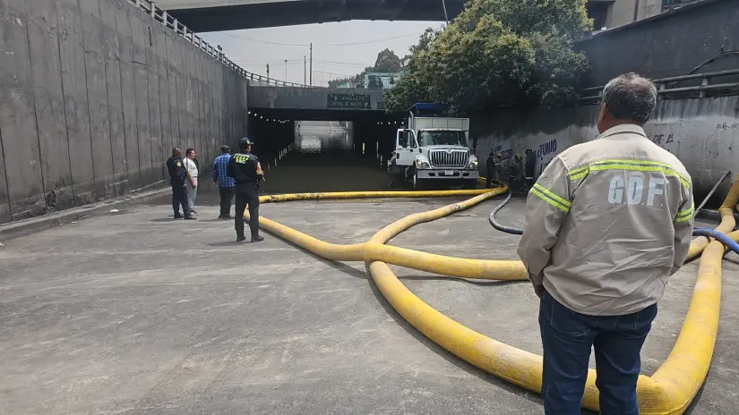 Foto: Luis Alfaro