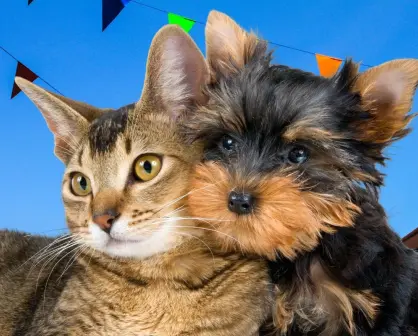 Asiste a la Feria de Bienestar Animal en Santa Catarina y adopta con responsabilidad
