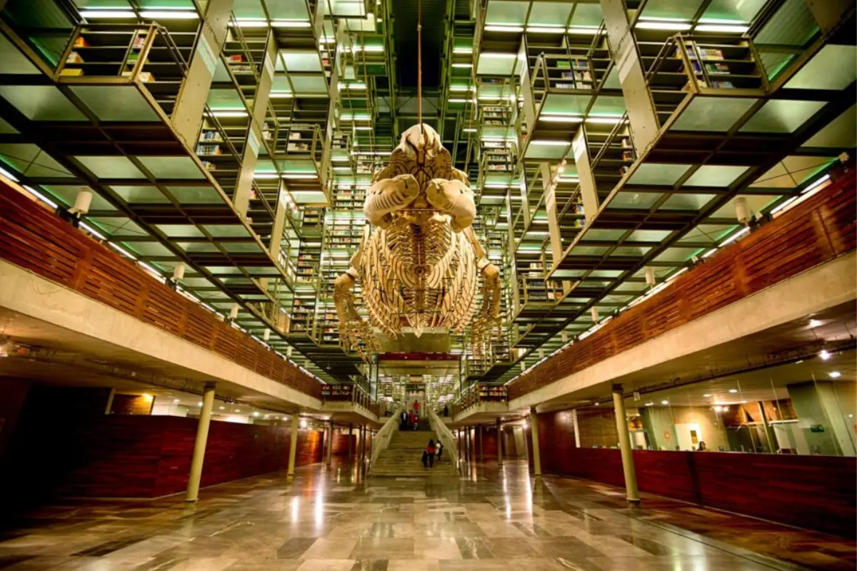 Biblioteca Vasconcelos. Foto: Laguardia.com | Canva