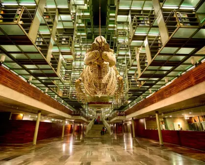 El rincón secreto en CDMX perfecto para leer toda la saga de Harry Potter sin interrupciones
