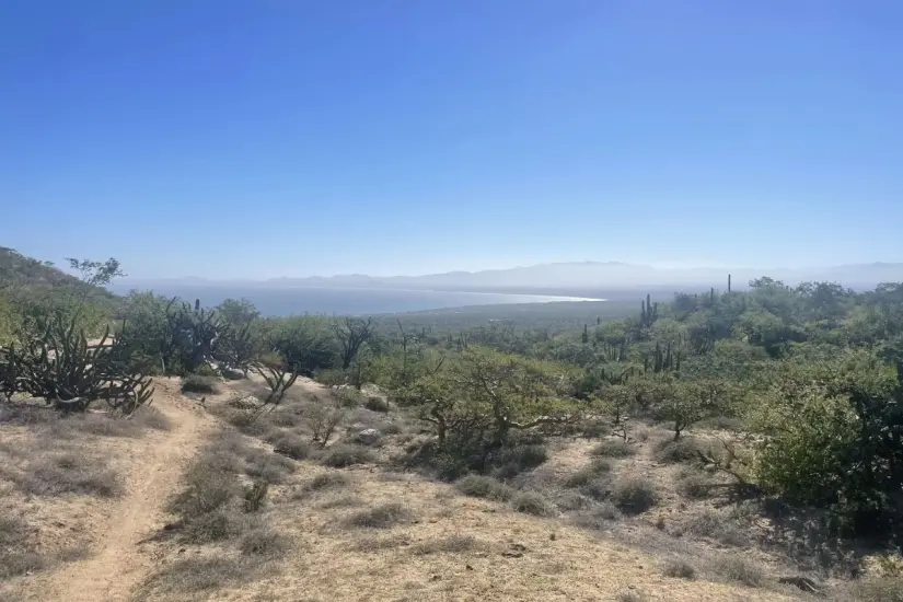 Los ciclistas recorren caminos de tierra y playa. Foto: AllTrails
