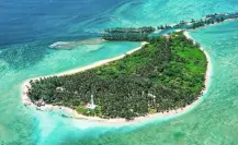 Escápate a Isla Lobos desde Tampico: Aquí te dejamos una guía de viaje completa
