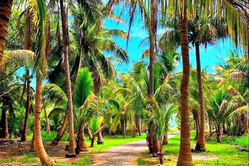 Conoce esta hermosa isla muy cerca de Tampico, Tamaulipas | Foto: FB