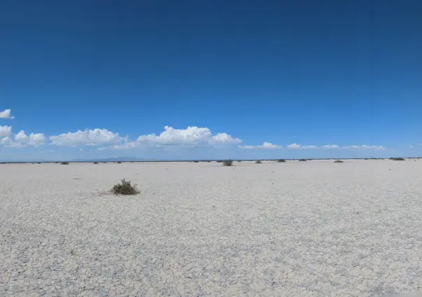 La razón por la que la Laguna de Mayrán, desembocadura del Nazas, prácticamente desapareció