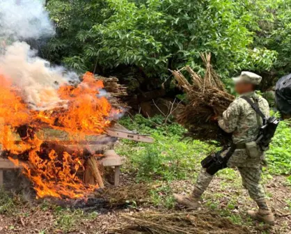 Operativos simultáneos en 9 estados dejan detenidos, drogas y armas aseguradas