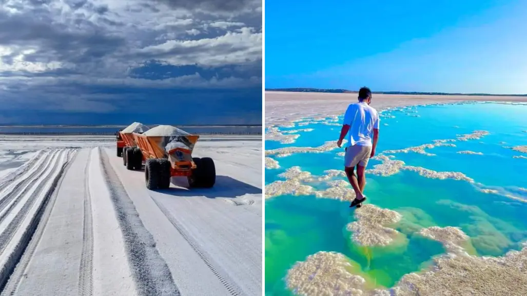 Sal de Guerrero Negro: El oro blanco que impulsa la economía local