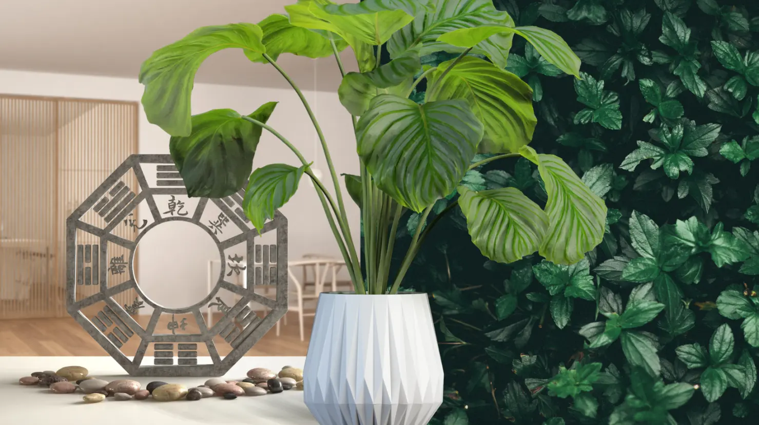 Plantas de dinero en Feng Shui: 10 especies que atraen riqueza y energía positiva. Foto: Canva.