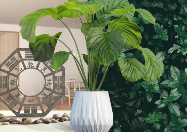 Plantas de dinero en Feng Shui: 10 especies que atraen riqueza y energía positiva