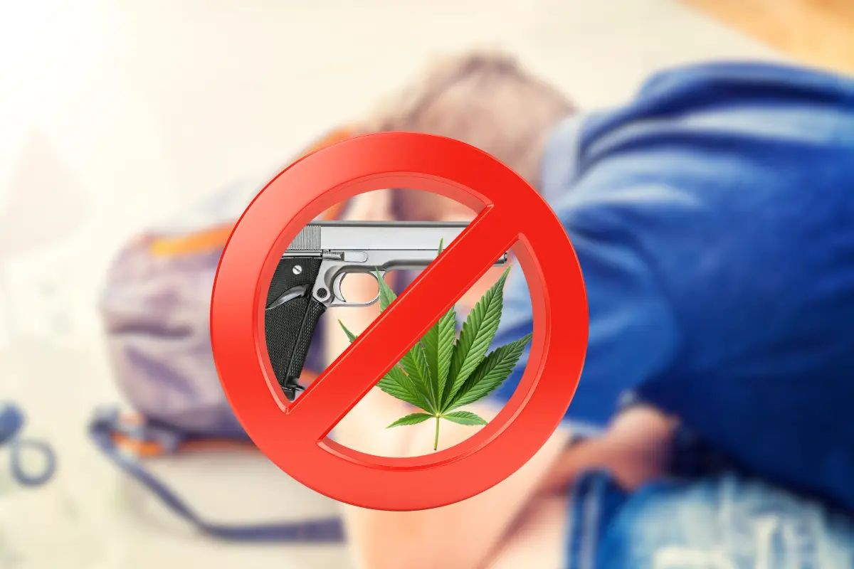 La legisladora propone un protocolo estatal de seguridad escolar para evitar quea los planteles ingresen con armas o drogas. Fotos Ilustrativas: Canva.