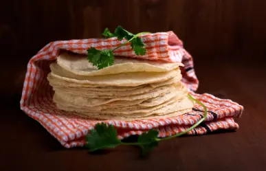 Industriales de la tortilla en Tamaulipas reportan estabilidad en precios