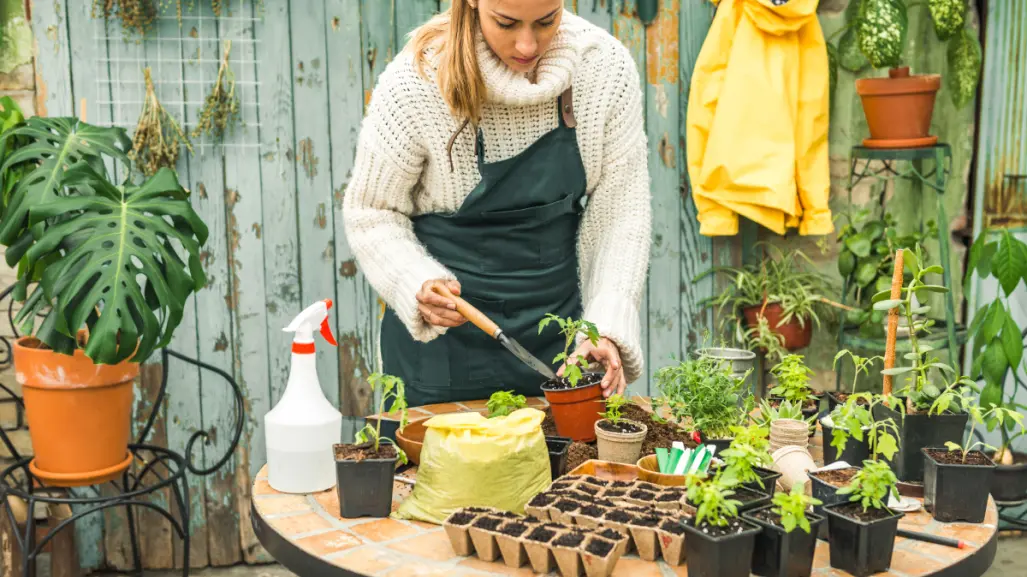 9 consejos infalibles para proteger tus plantas del calor extremo en agosto