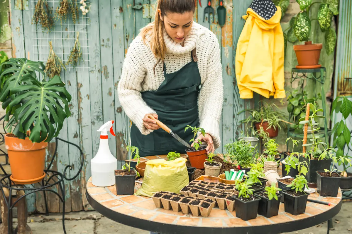 Agosto es el mes que requiere más atención para las plantas porque es cuando el sol y el calor alcanzan su máximo esplendor. Foto: Canva
