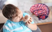 CDMX, entre los estados con más obesidad infantil: sobrepeso impacta el cerebro, revela la UNAM