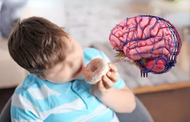 CDMX, entre los estados con más obesidad infantil: sobrepeso impacta el cerebro, revela la UNAM