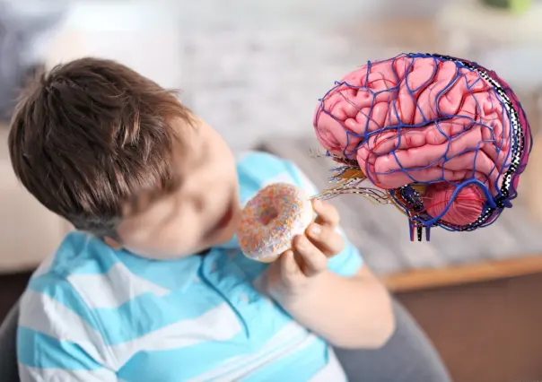 CDMX, entre los estados con más obesidad infantil: sobrepeso impacta el cerebro, revela la UNAM