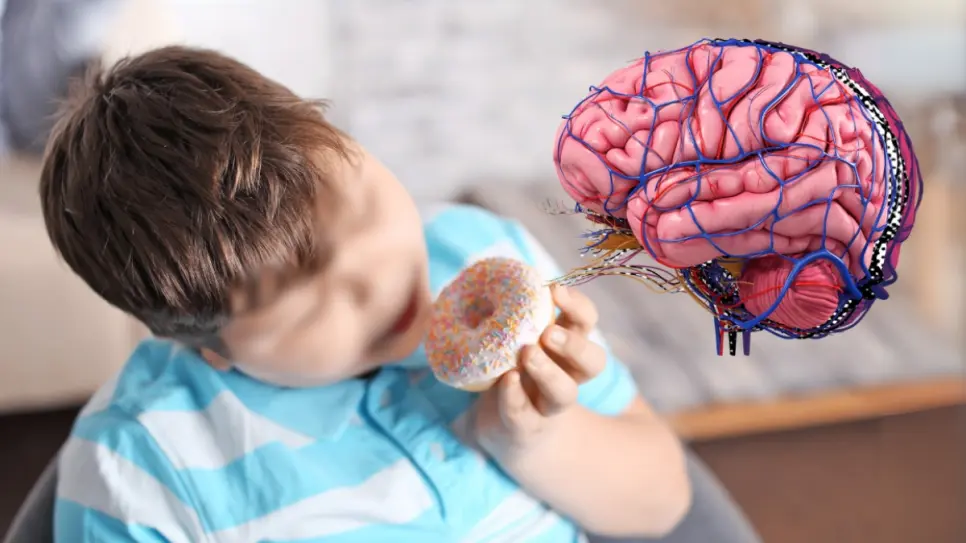 CDMX entre los estados con más obesidad infantil: sobrepeso impacta el cerebro, revela la UNAM