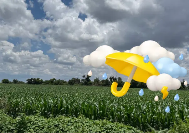 Monzón mexicano ocasionará lluvia en algunas zonas de Durango para este 13 de agosto