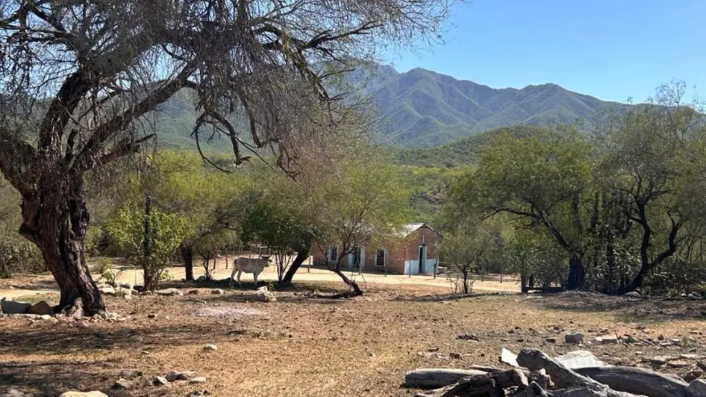 Ciudad vs rancho en BCS: 5 diferencias clave que cambian tu día a día