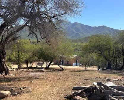Ciudad vs rancho en BCS: 5 diferencias clave que cambian tu día a día