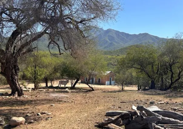 Ciudad vs rancho en BCS: 5 diferencias clave que cambian tu día a día