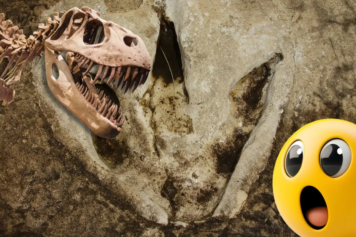 Esta fue la primera especie de dinosaurio documentada en Coahuila / Foto: Composición de Canva